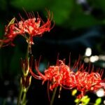 胜天国际H5的多终端适配与响应式设计 2mdsxb2on3