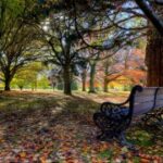 胜天国际H5在艺术与文化传播中的应用 3kmtciqw48