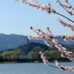 胜天国际:应对国际竞争的创新思维 kv4cokho